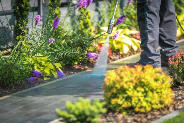 Best Pool Deck Cleaning  in Blythe, CA
