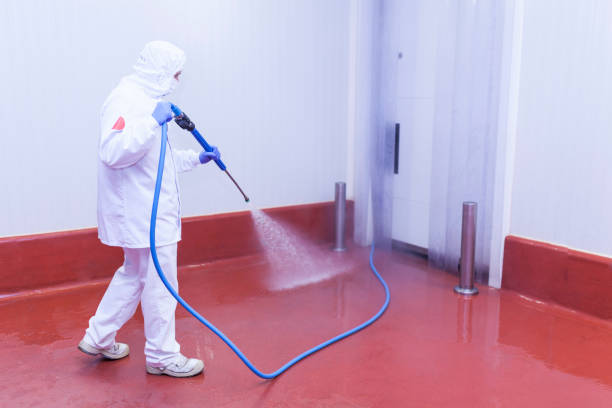 Best Roof Washing  in Blythe, CA